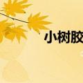 小树胶花水晶功效（水晶功效）