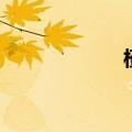 槿麻花图片（槿麻）