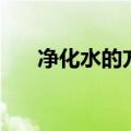 净化水的方法和顺序（净化水的方法）