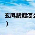 玄凤鹦鹉怎么养才会认主人（玄凤鹦鹉怎么养）