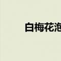 白梅花泡水喝的9大禁忌（白梅花）