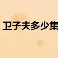 卫子夫多少集皇后被废视频（卫子夫多少集）