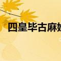 四皇毕古麻姆被打败了吗（四皇毕古麻姆）