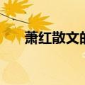 萧红散文的语言富有诗意（萧红散文）
