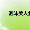 泡沫美人鱼歌词曾之乔（泡沫美人鱼）
