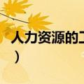 人力资源的工作内容是什么（人事的工作内容）