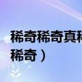 稀奇稀奇真稀奇蚂蚁踩死大公鸡（稀奇稀奇真稀奇）