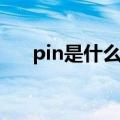 pin是什么意思英语（pin是什么意思）