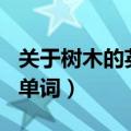 关于树木的英语单词100个（关于树木的英语单词）