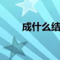 成什么结什么成语（成什么结什么）