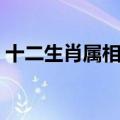 十二生肖属相配对（十二生肖哪个属相最好）