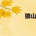 狼山海拔多少米高（狼山）