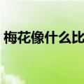 梅花像什么比喻句外形（梅花像什么比喻句）