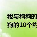 我与狗狗的10个约定书籍在线阅读（我与狗狗的10个约定）