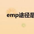 emp途径是什么意思（途径是什么意思）
