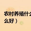 农村养殖什么好养又赚钱又好卖（农村养殖什么好）