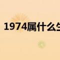 1974属什么生肖属相属什么（1974属什么）