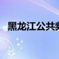 黑龙江公共频道主持人（黑龙江公共频道）