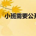 小班需要公开课（小班公开课选什么课好）