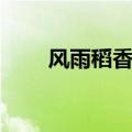 风雨稻香村毛毛在哪（风雨稻香村）