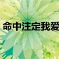 命中注定我爱你删戏（命中注定我爱你吻戏）