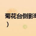 菊花台倒影明月英语怎么说（菊花台倒影明月）