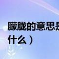 朦胧的意思是什么《丁香结》（朦胧的意思是什么）