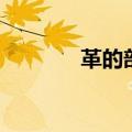 革的部首和组词（革的部首）