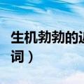 生机勃勃的近义词和反义词（生机勃勃的近义词）