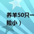 养羊50只一年赚多少钱（养殖什么最赚钱风险小）