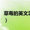 草莓的英文怎么读音声音（草莓的英文怎么读）