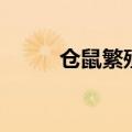 仓鼠繁殖期是多少天（仓鼠繁殖）