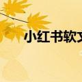 小红书软文什么意思（软文什么意思）