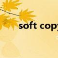 soft copy什么意思（soft什么意思）