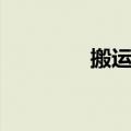 搬运鼠服务公社（搬运鼠）