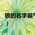 狼的名字霸气点的网名女（狼的名字霸气点的）