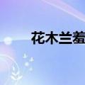 花木兰羞答答选段（花木兰羞答答）