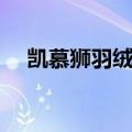凯慕狮羽绒服排名多少（凯慕狮羽绒服）