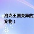 洛克王国变异的龙系宠物任务怎么做（洛克王国变异的龙系宠物）