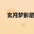 玄月梦影是不是国产动画片（玄月梦影）