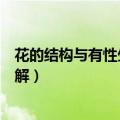花的结构与有性生殖图解八下课本（花的结构与有性生殖图解）
