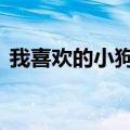 我喜欢的小狗作文500字（小狗作文500字）