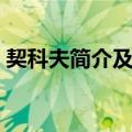 契科夫简介及代表作品有哪些（契科夫简介）