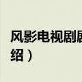 风影电视剧剧情介绍分集（风影电视剧剧情介绍）