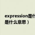 expression是什么意思中文翻译是什么意思（expression是什么意思）