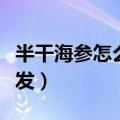 半干海参怎么发制的简单步骤（半干海参怎么发）