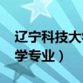 辽宁科技大学专业分数线2023（辽宁科技大学专业）
