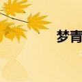 梦青衣舞蹈剧目（梦青衣）