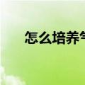 怎么培养气质和自信（怎么培养气质）