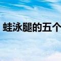 蛙泳腿的五个步骤（蛙泳腿的腿部正确动作）